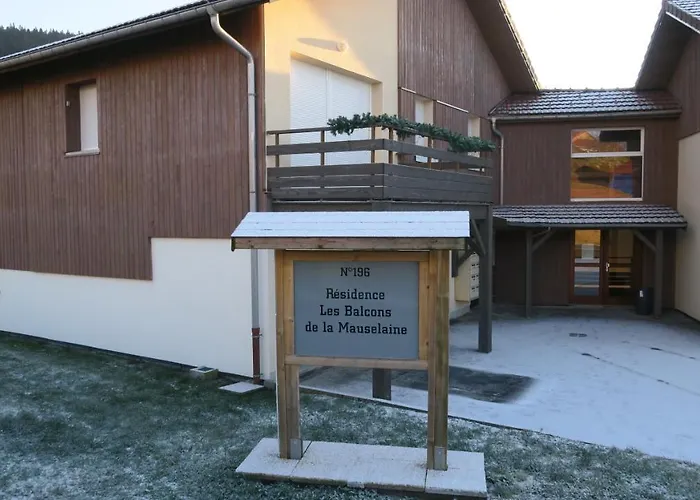Apartment Location Les Balcons De La Mauselaine