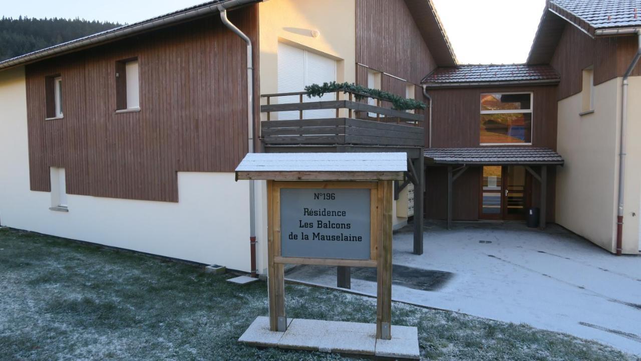 Location Les Balcons De La Mauselaine Gérardmer